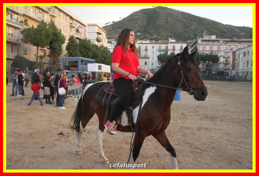 161106 equestre 141_tn.jpg